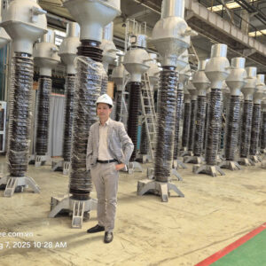 Biến dòng điện cao thế 110kV - Current transformer 110kV - CT 110kV